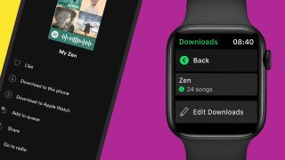 Apple Watch에서 실행되는 Spotify의 예