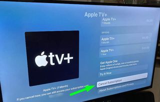 Apple TV Plus 구독 관리 화면