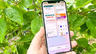 나뭇잎 앞의 iPhone에서 iOS 15의 탭 그룹 보기로 열린 Safari