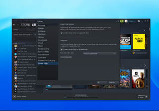 Steam Play가 활성화된 것을 보여주는 Chromebook 설정 프로세스의 Steam