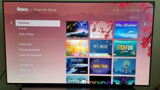 Roku Channel Store에서 Roku 테마를 표시하는 메뉴