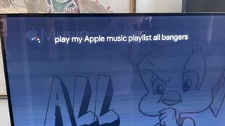 "내 Apple Music 재생 목록 재생"은 Google TV에서 Chromecast를 요구합니다.