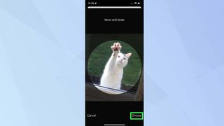 "이동 및 크기 조정" 옵션을 보여주는 고양이 사진이 있는 iOS 15의 스크린샷