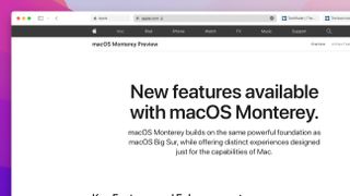 macOS Monterey에서 Safari 탭 그룹을 사용하는 방법