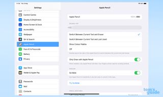 iPadOS 설정 앱의 Apple Pencil 하위 메뉴