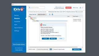 IDrive의 복원 작업 요약 창 스크린샷