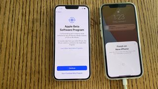 iOS 15 베타를 실행 중인 경우 빠른 시작을 완료하기 전에 새 iPhone에 설치해야 합니다.