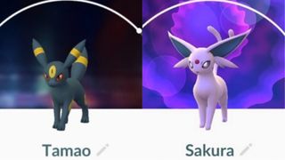 Pokémon Go Eevee evolutions 타마오와 사쿠라