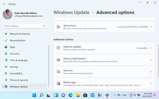 Windows Update용 고급 옵션을 보여주는 Windows 11 스크린샷