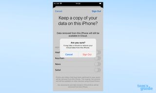 Apple ID 로그아웃의 최종 로그아웃 팝업을 보여주는 iOS 설정 앱의 스크린샷