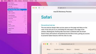 macOS Monterey에서 Safari 탭 그룹을 사용하는 방법