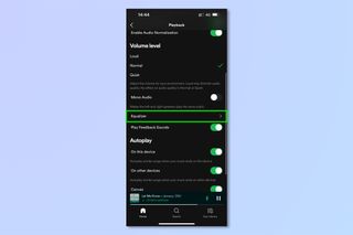 iOS 및 Android에서 Spotify 이퀄라이저를 사용하는 데 필요한 단계를 보여주는 스크린샷