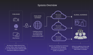 Millicast WebRTC 기반 시스템의 시스템 개요