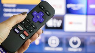 TV 앞에 Netflix 버튼이 있는 Roku 리모컨.