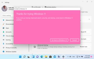 Windows 10으로 다운그레이드할 수 있는 옵션을 제공하는 Windows 11의 창
